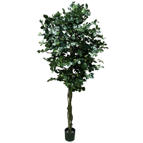 180cm Fire Retardant Black Olive Tree with 2925 Leaves and Natural Trunk - Premium Quality