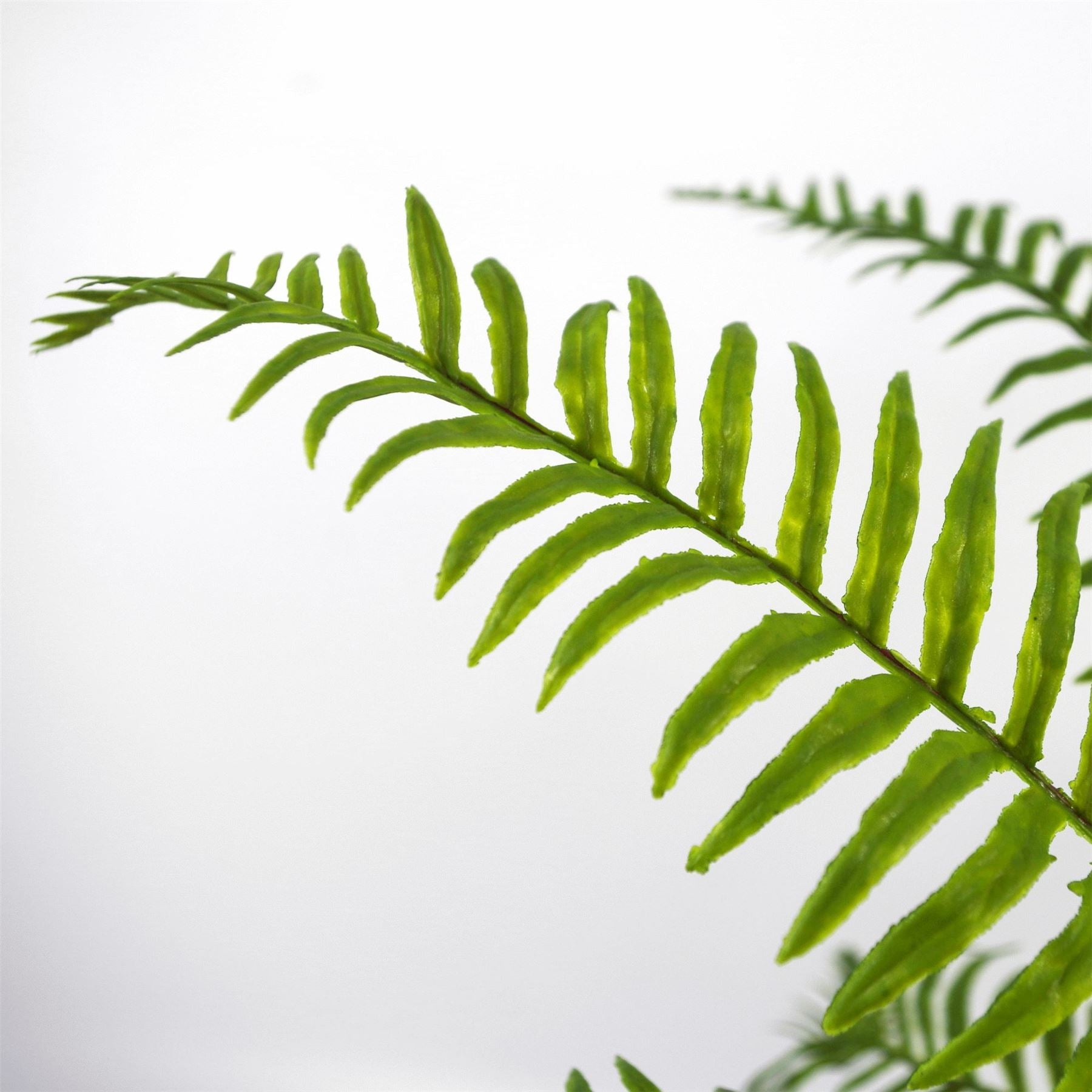 Artificial Boston Fronded Fern Plant 50cm
