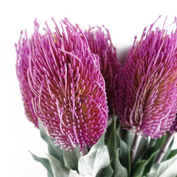 Pack of 6 x 75cm Banksia Menziesii Pink Flower Stem Artificial - Premium Quality