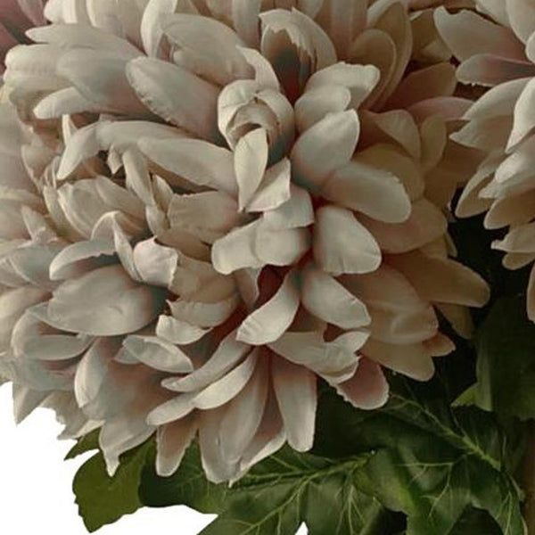 Pack of 6 x 75cm Extra Large Reflex Chrysanthemum - Mushroom - Premium Quality