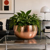 Leaf Large Metal Planter Edge Metal Planter 20cm