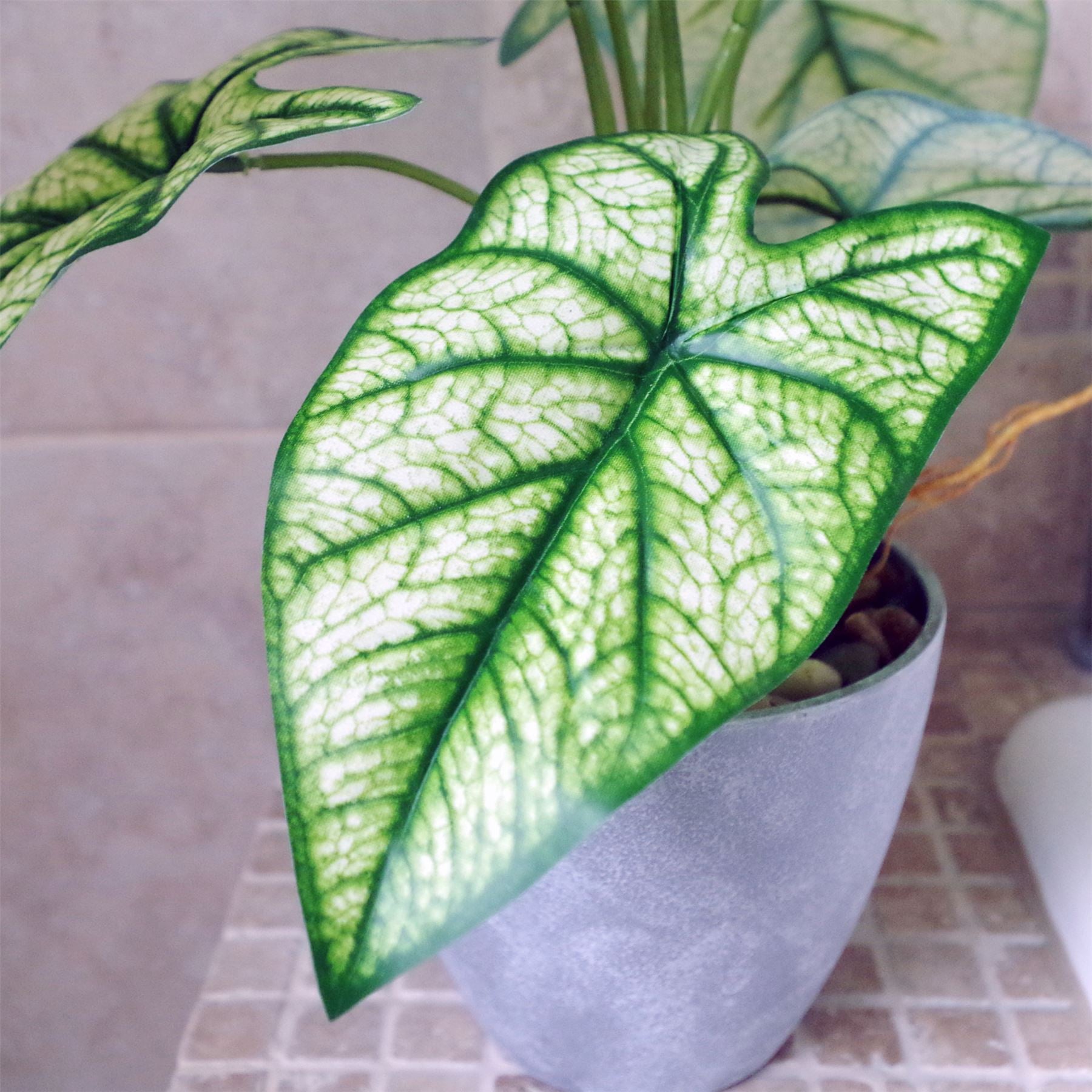 Artificial Plant Realistic Natural Taro in Decorative Planter Botanik