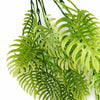 Pack of 6 x 80cm Trailing Tropical Monstera Plant - Light Green