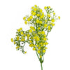 55cm Gypsophila Yellow Stem