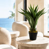 55cm Artificial Tropical Yucca Plant