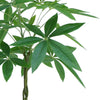 70cm Artificial Money Tree Pachira Realistic Faux Plant - Premium Quality