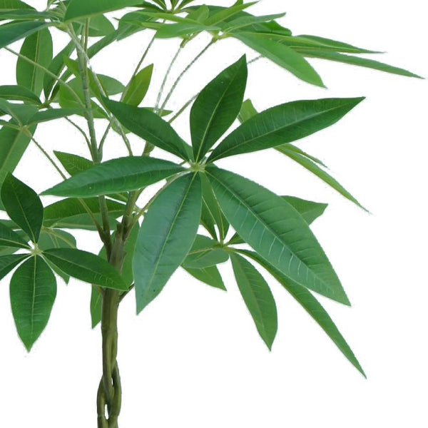 70cm Artificial Money Tree Pachira Realistic Faux Plant - Premium Quality