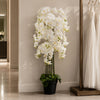 Giant White Orchid Plant Artificial 189 flowers REAL TOUCH Botanik