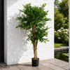 Artificial Plant Ruscus Tree- 2716 leaves UV PROTECTED OUTDOOR Botanik