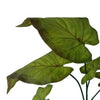 Pack of 6 x 50cm Artificial Green Plastic Botanik Stem - Premium Quality