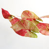 Artificial Hanging Trailing Plant Plant Pink Splash Caladium Botanik