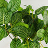 40cm Artificial Variegated Green Pothos Plant