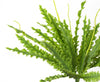 12 x 40cm Artificial Crocodile Fern Plant - Premium Quality