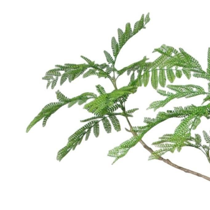 240cm Artificial Jacaranda Realistic Artificial Tree - Premium Quality