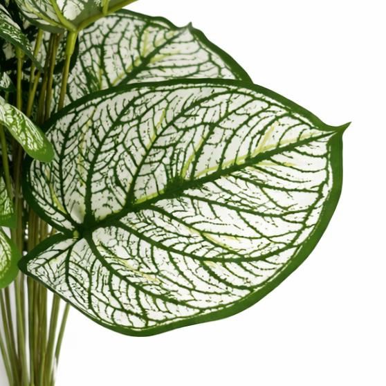 Pack of 6 x 60cm Artificial Caladium Style Stem Plant Variegated Green White Faux Foliage Arrangement