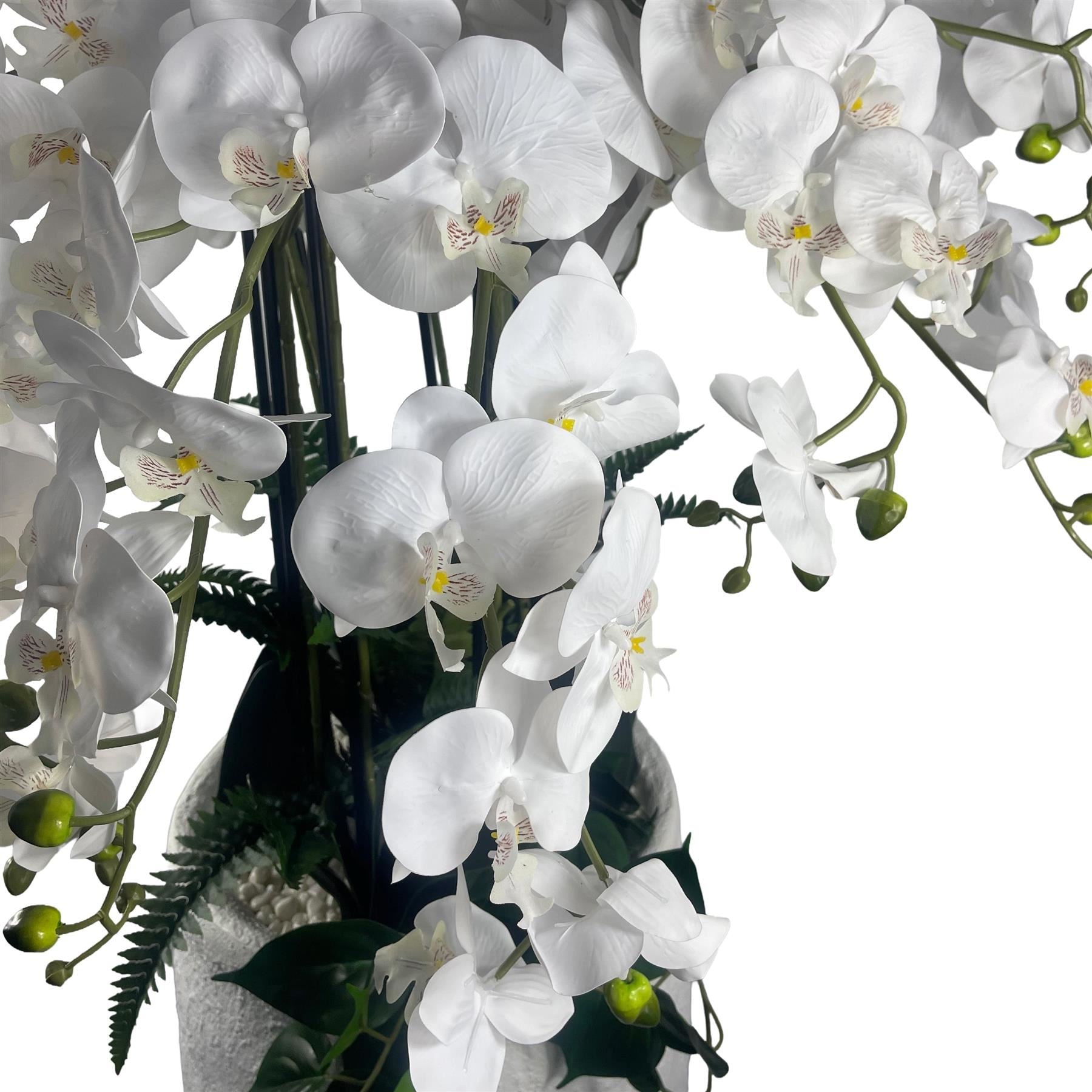 150cm White Orchid Potted Display Artificial - Premium Quality