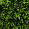 45cm Artificial Thyme Topiary Ball - Premium Quality