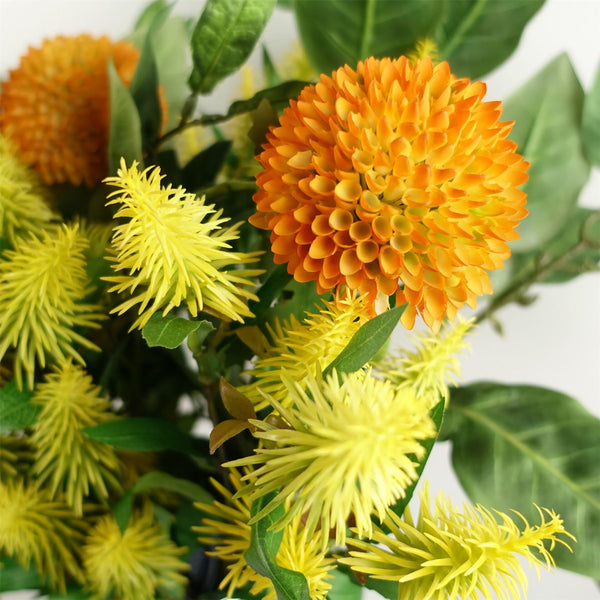 Pack of 6 x 55cm Callistemon Pallidus Yellow Bottle Brush Stem - Premium Quality