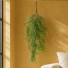 Hanging UV and Fire Resistant Artificial Trailing Button Fern Plant 82cm - Premium Quality
