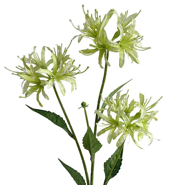72cm Artificial Lime Green Spider Lily Stem