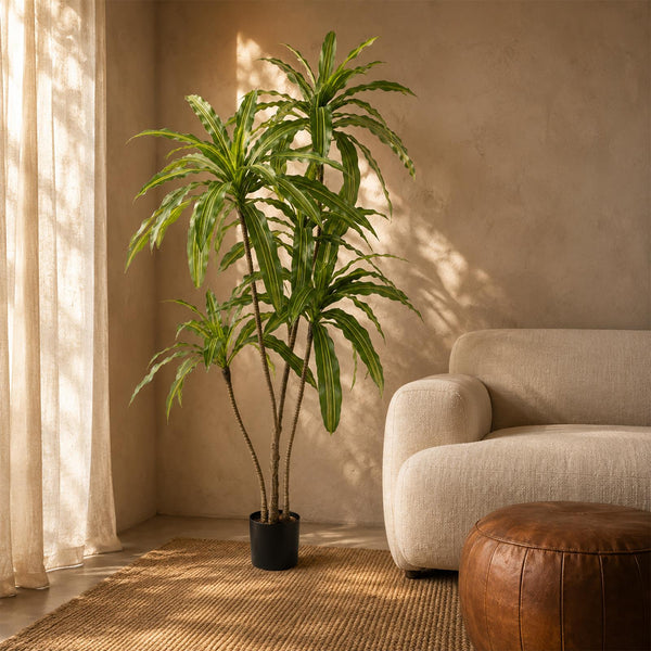 180cm Striped Dracaena Realistic Artificial Tree - Premium Quality