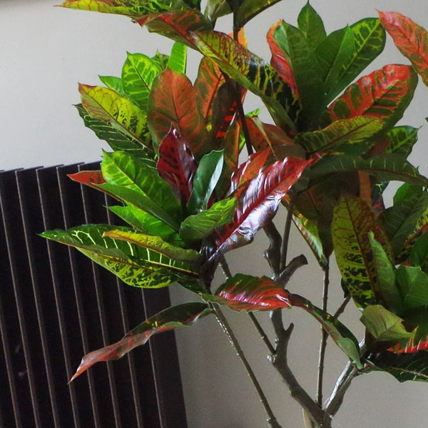 Artificial House Plant Codiaeum Multicoloured Office Tree 130cm Bright Croton Botanik