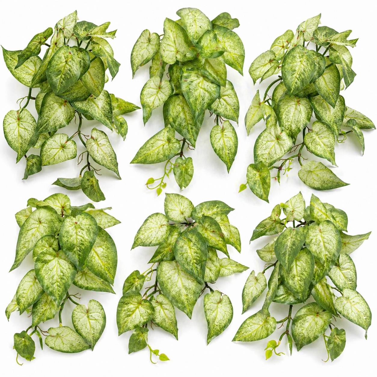 Pack of 6 x 25cm Artificial Trailing Variegated Caladium Vine Plant Light Green
