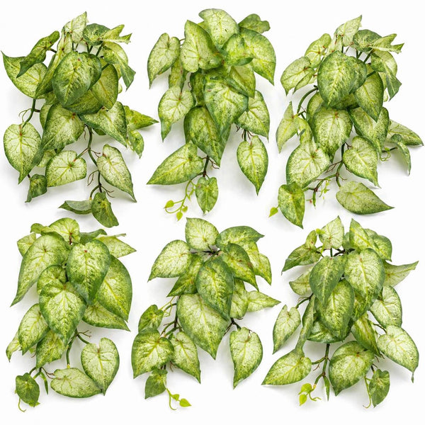 Pack of 6 x 25cm Artificial Trailing Variegated Caladium Vine Plant Light Green