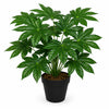 60cm Artificial Japanese Aralia Plant Evergreen