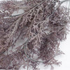 80cm Artificial Dusky Purple Coral Fern Trailing Plant Decorative Hanging Foliage - Premium Quality