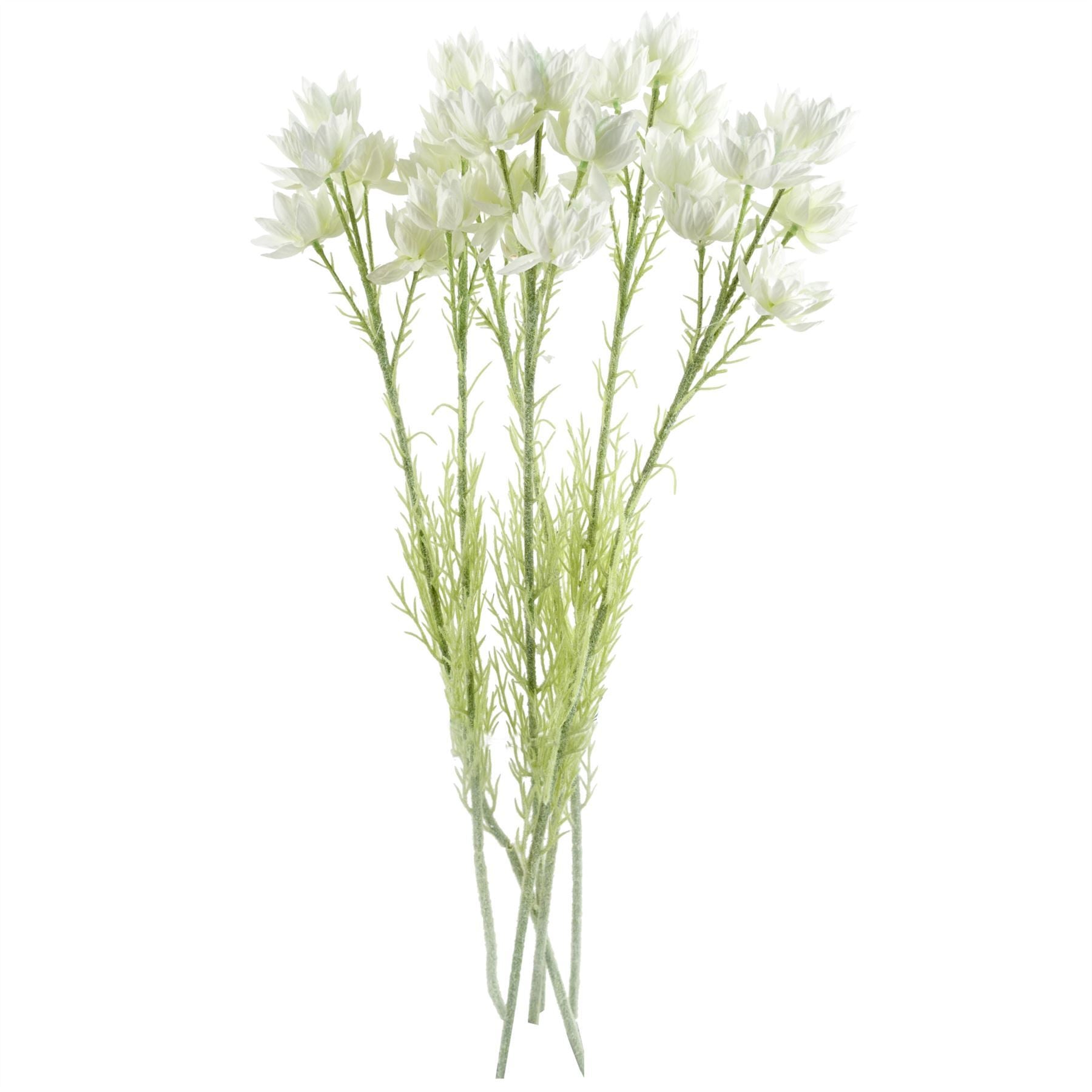 Pack of 6 x 60cm White Starflower Stem - 30 Flowers - Premium Quality