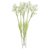 Pack of 6 x 60cm White Starflower Stem - 30 Flowers - Premium Quality