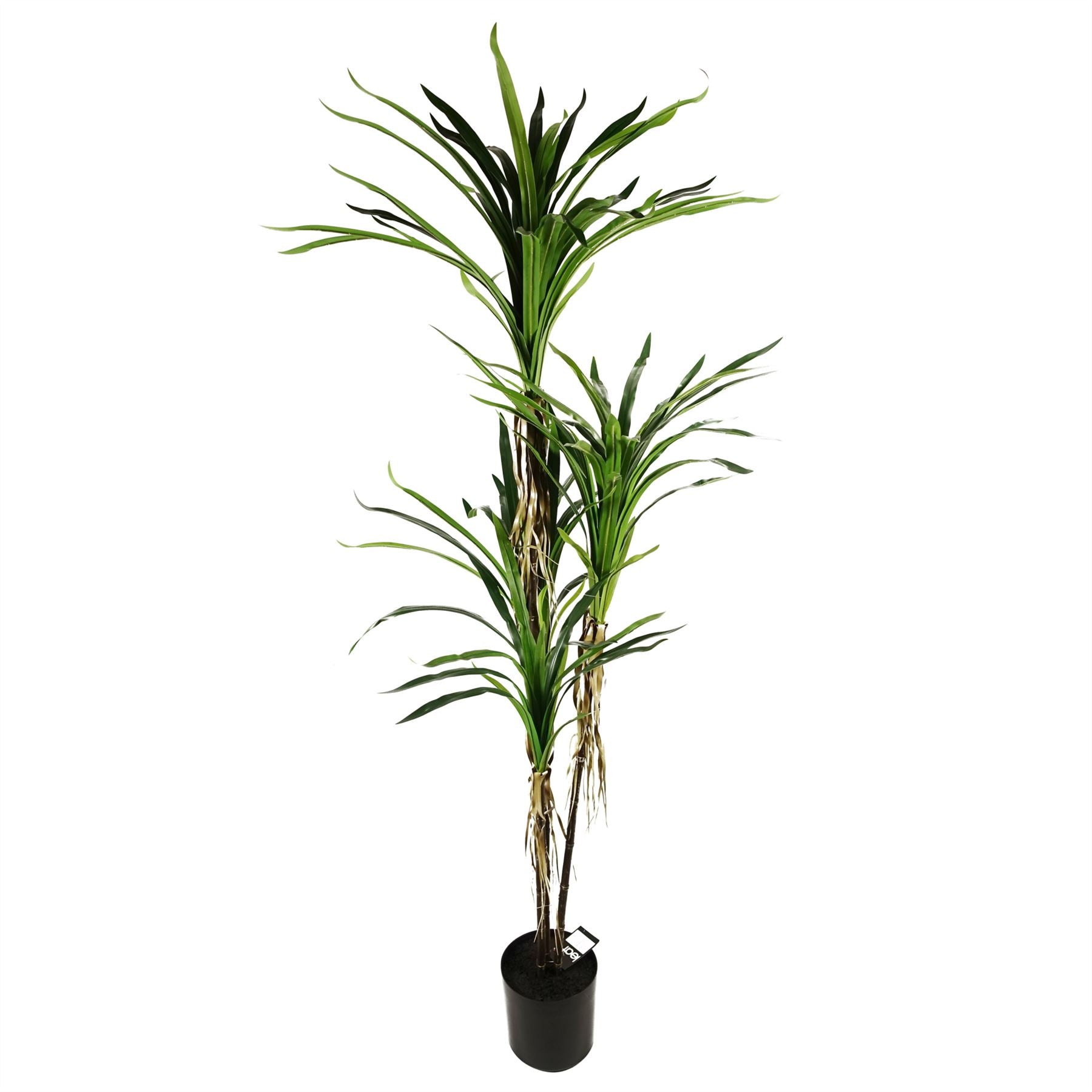 Artificial Dracaena Plant - HUGE 180cm 6FT