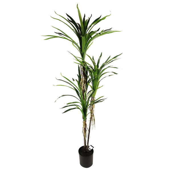 Artificial Dracaena Plant - HUGE 180cm 6FT