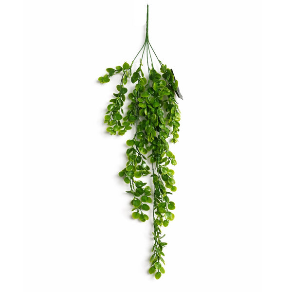 Pack of 6 x 75cm Artificial Trailing Round Botanik Hanging Foliage Plant - Classic Gloss Green - Premium Quality