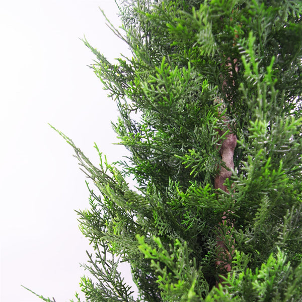 120cm Pair of Artificial Cypress Topiary - Premium Quality
