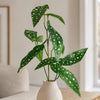 80cm Artificial Begonia Maculata Polka Dot Foliage Stem