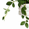45cm Artificial Trailing Striped Leaf Plant with Pink Flowers in White Pot