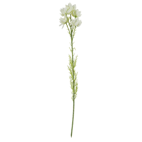 75cm White Starflower Display Ombre Glass Vase - Premium Quality