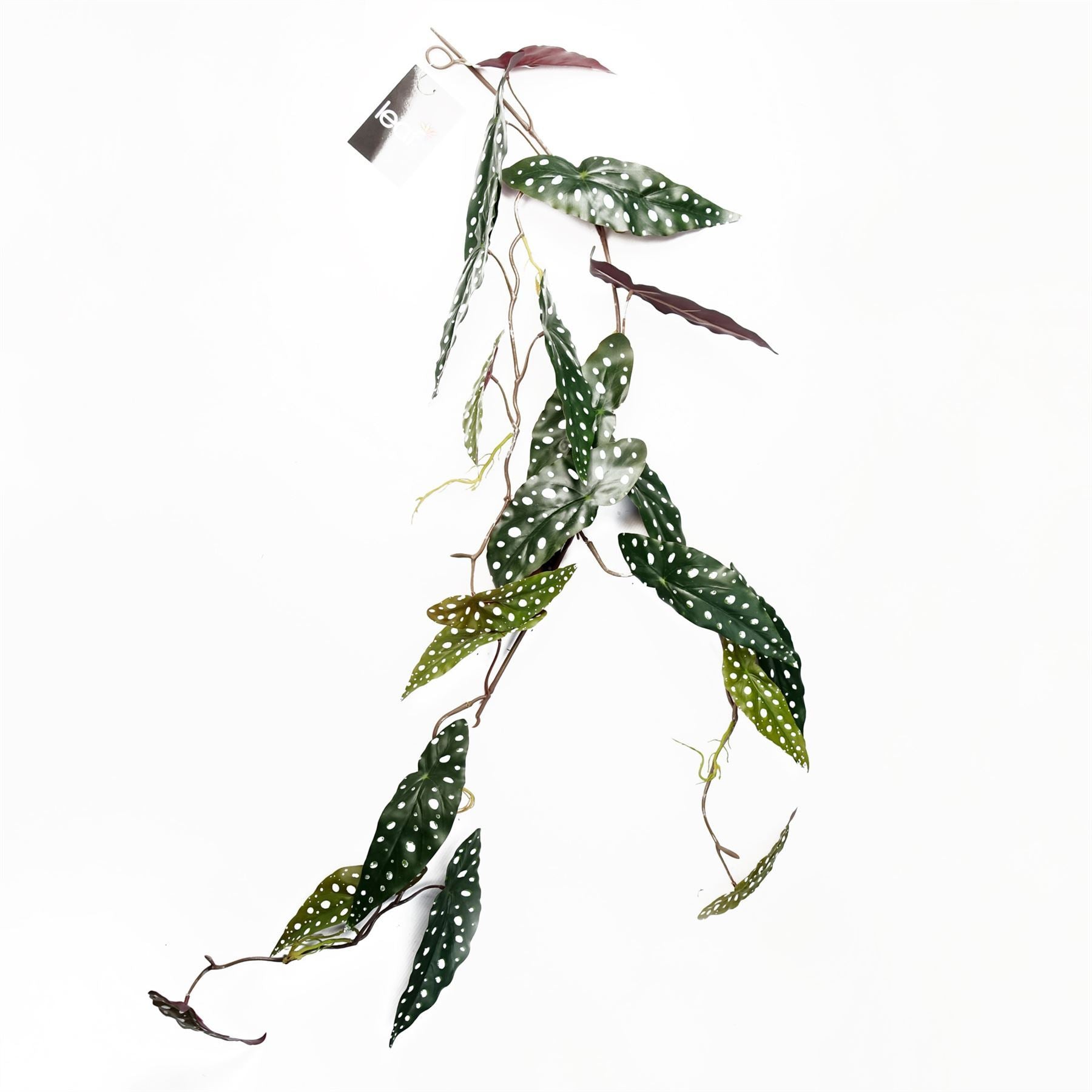 6 x 110cm Artificial Hanging Trailing Begonia Maculata Spotted Plant - Premium Quality