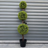 120cm Green Triple Ball Topiary Tree - Premium Quality