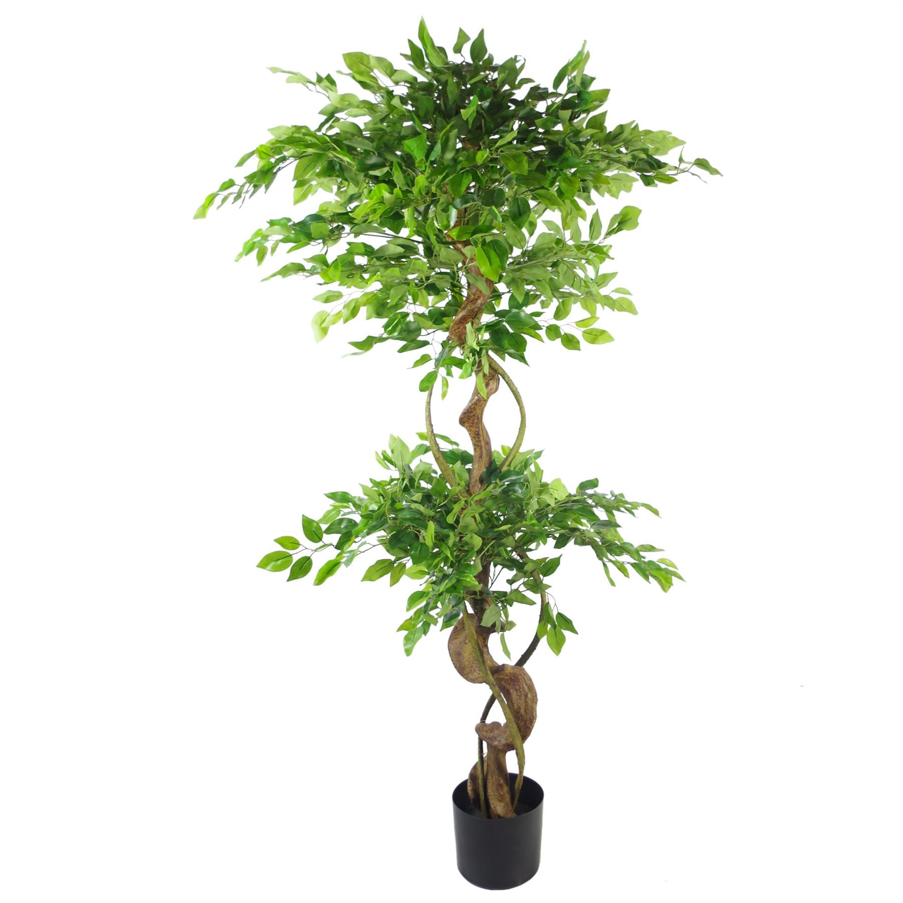 Japanese Fruticosa Ficus Tree Gold Planter 150cm Twisted Trunk Artificial Botanik