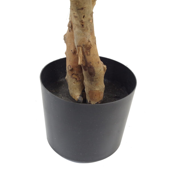 130cm Variegated White/Green Bushy Ficus Tree Gold Metal Planter - Premium Quality