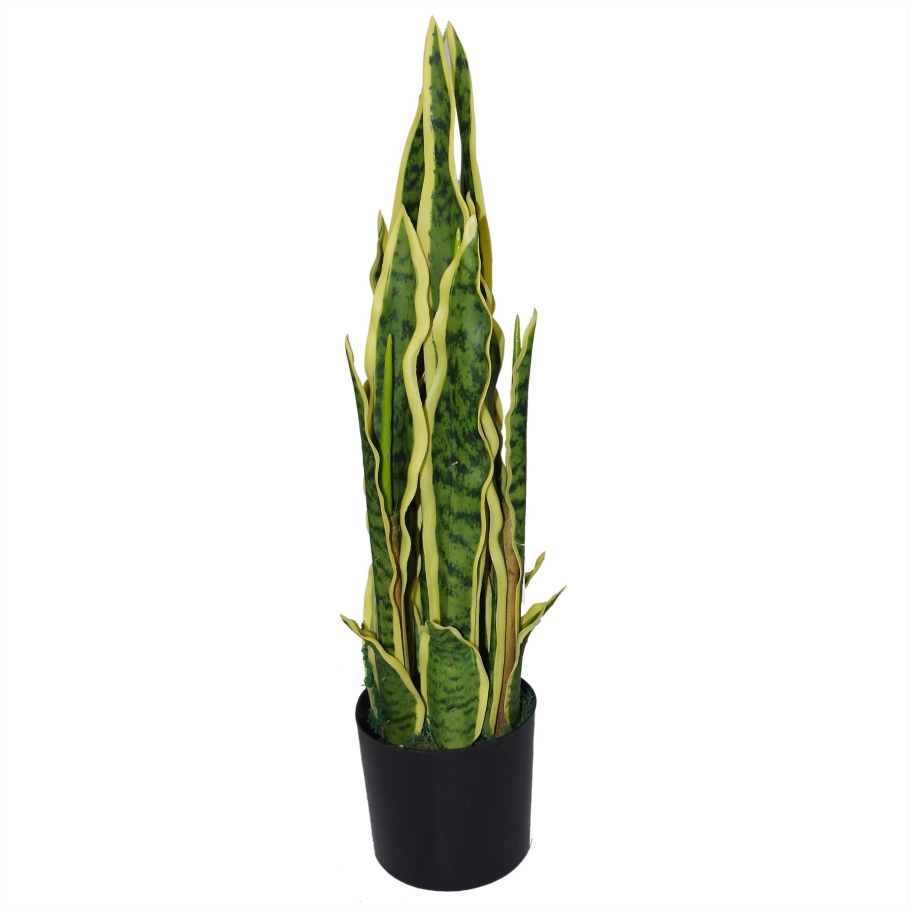 55cm Sansevieria Yellow Green  Artificial  Indoor Plant