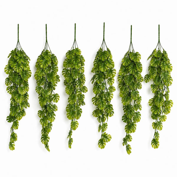 Pack of 6 x 70cm Hanging Mini Monstera Botanik Plant - Premium Quality