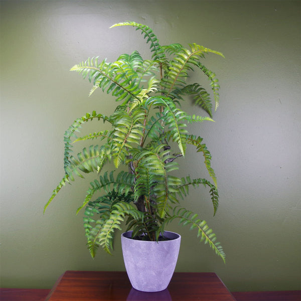 Artificial Fern Tree Plant in Decorative Planter Botanik