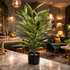 80cm Fire Retardant Aglaonema Bush with 72 Leaves - Premium Quality