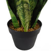 Tropical Artificial Plants 70cm Sansevieria Zeylanica 70cm Plants