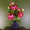 Artificial Peony Plant Flowers Flowering Plant Pink Botanik