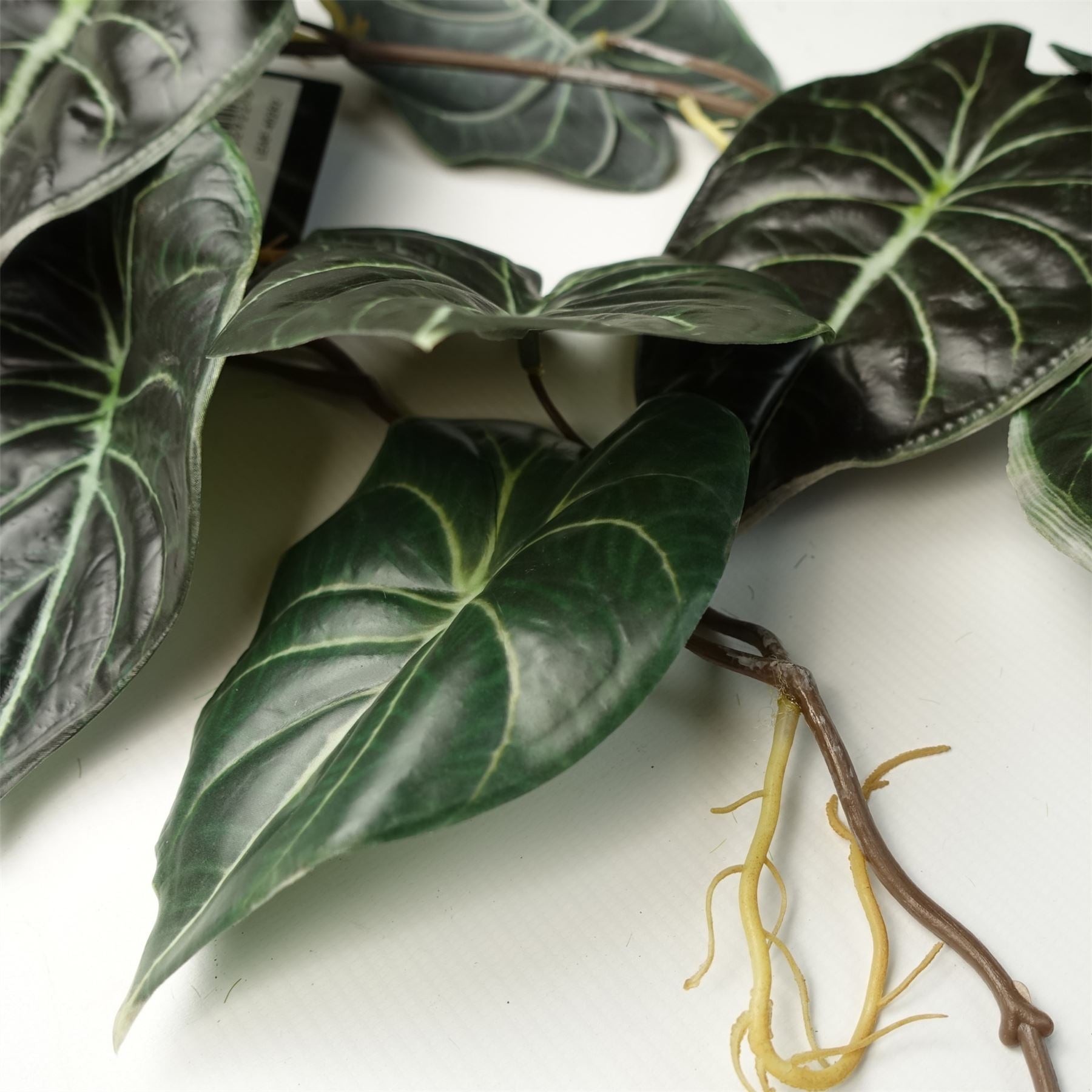 Artificial Hanging Plant Alocasia Dragon Scale Dark Pack x 6